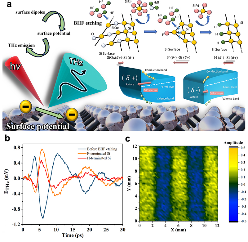 Silicon wafers inspection by terahertz emission spectroscopy
